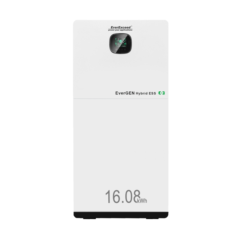 إيفيرجين هايبرد ESS